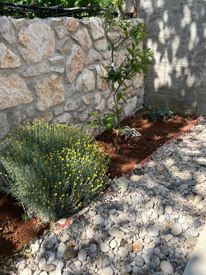 Diminići Bonvivan House מראה חיצוני תמונה